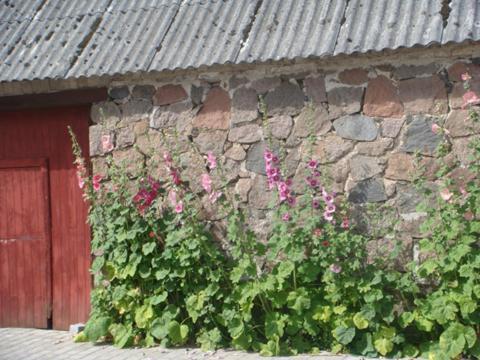 Lyngvej 16 B&B Skanderborg Εξωτερικό φωτογραφία